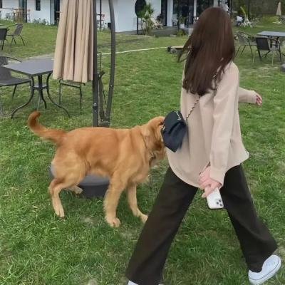 爱得太狂