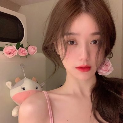 百胜铁骑军